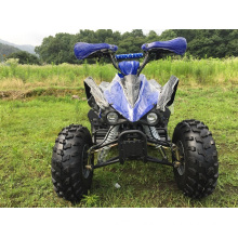 Sports ATV Quad 110cc with Full Automatic Gears for Kids
